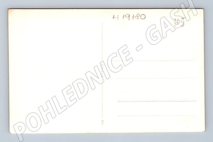 Pohlednice česká lesní krajina malý formát do 1950 (M19180)