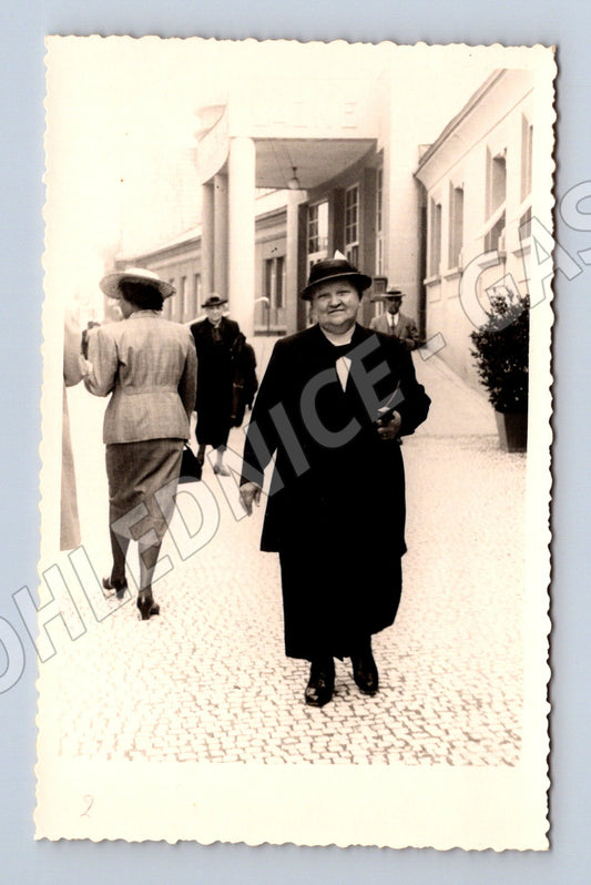 Pohlednice Lázně Poděbrady Foto Vidlař (M19190)