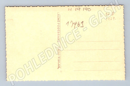 Pohlednice Lázně Poděbrady Foto Vidlař (M19190)