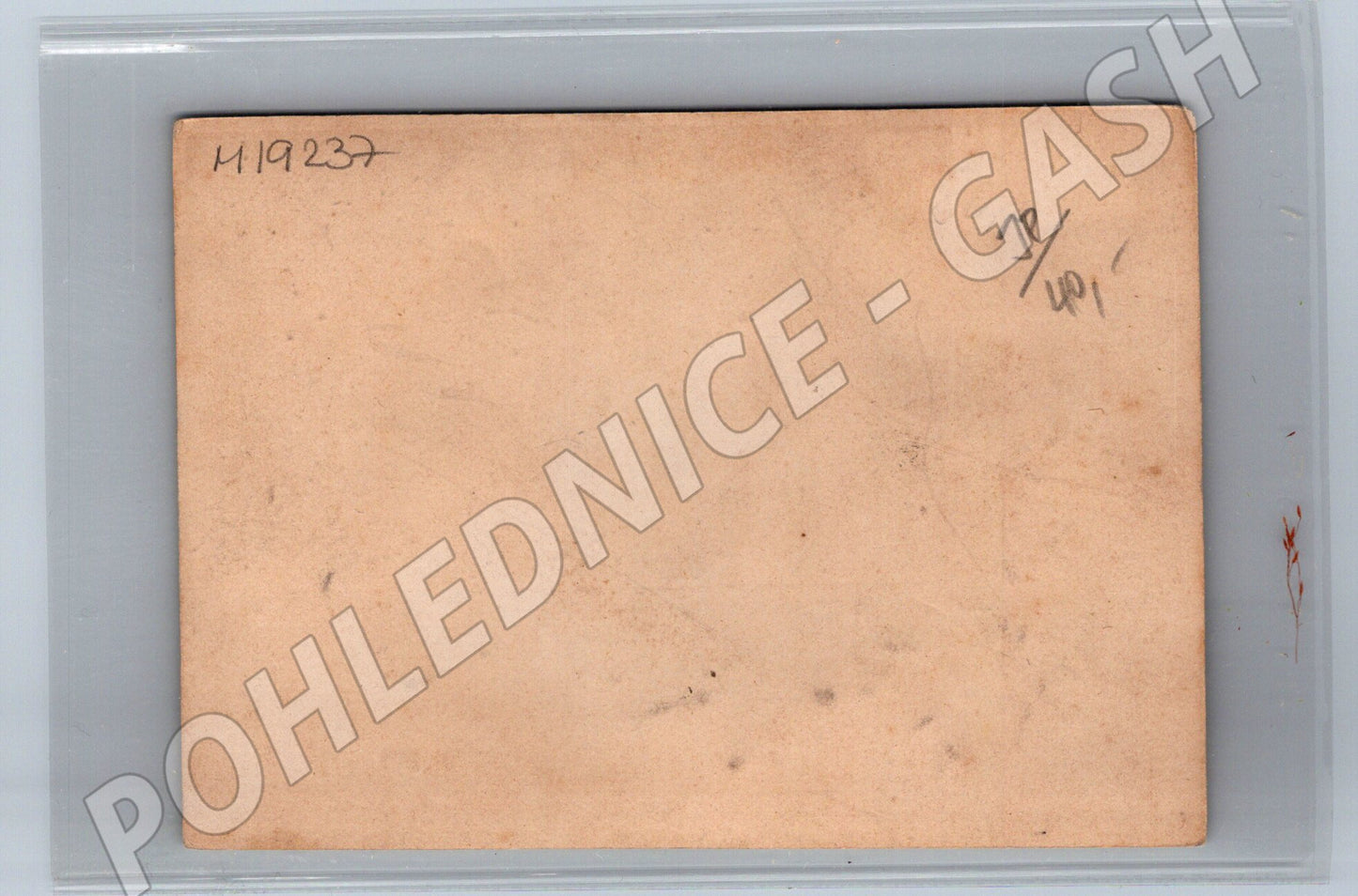 Pohlednice pozdrav z Erfurtu katedrála sušená květina (M19237)