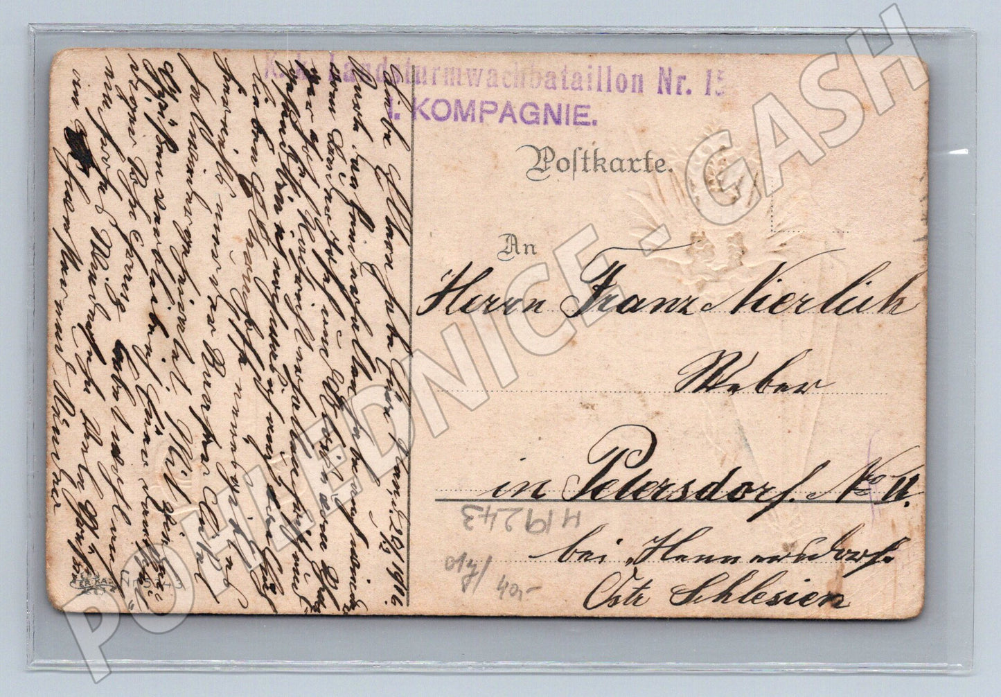 Pohlednice Německo orlice vlajka K.K landsturmwachbataillon N (M19243)