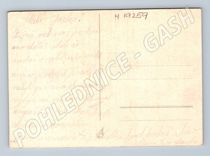 Pohlednice XI všesokolský slet Praha malý formát (M19259)