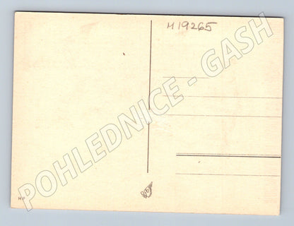 Pohlednice XI všesokolský slet Praha letní slavnost Českoslov (M19265)