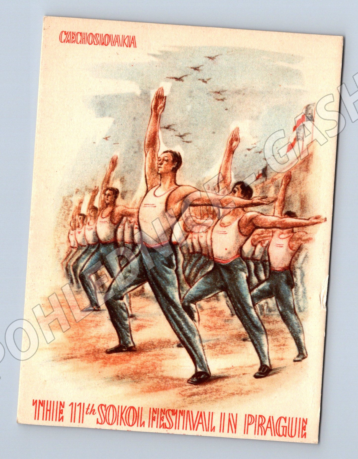 Pohlednice XI sokolský slet Praha před 1950 nepoužitá (M19281)