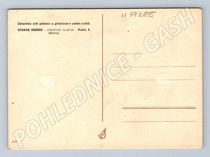 Pohlednice XII Všesokolský slet Praha 1948 malý formát (M19285)