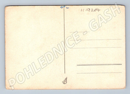 Pohlednice XI Všesokolský slet Praha (M19287)