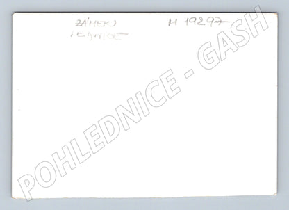 Pohlednice Starý zámek Lednice (M19297)