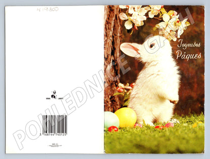 Pohlednice Velikonoční králíček a vajíčka Francie 1987 (M19300)