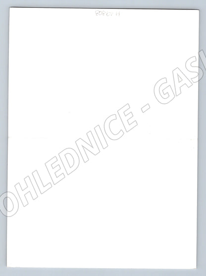 Pohlednice Velikonoční slepice s kuřátky Veselé Velikonoce Lu (M19303)