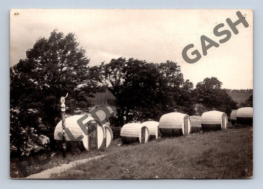 Pohlednice Přehrada Skalka u Chebu chatky 1931 (M1931)