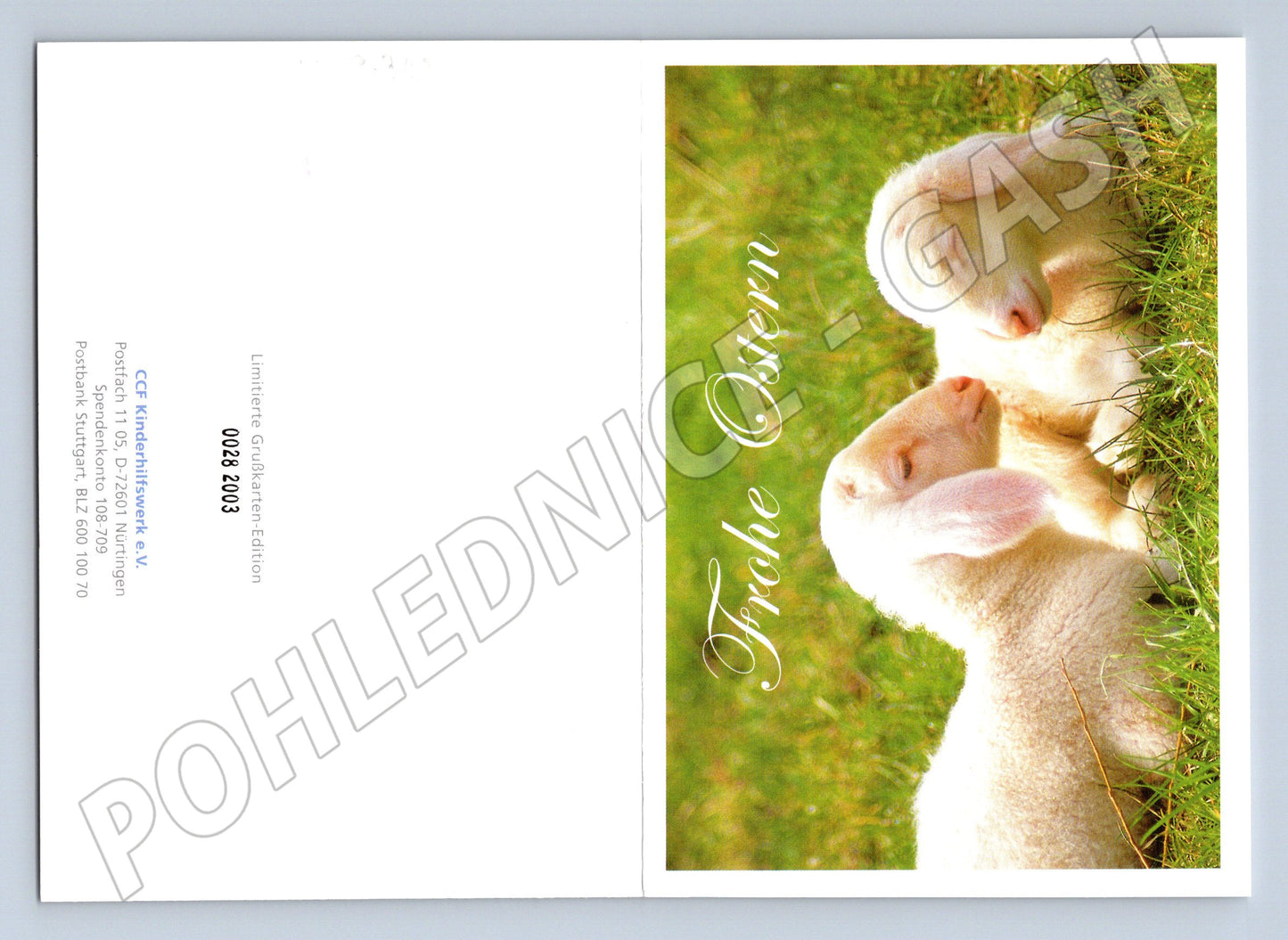 Pohlednice Velikonoční dvě jehňátka limitovaná edice (M19310)