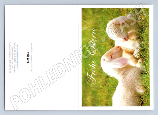 Pohlednice Velikonoční dvě jehňátka limitovaná edice (M19310)