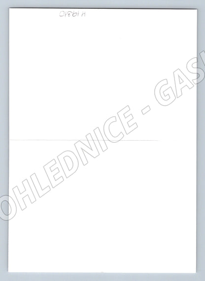 Pohlednice Velikonoční dvě jehňátka limitovaná edice (M19310)