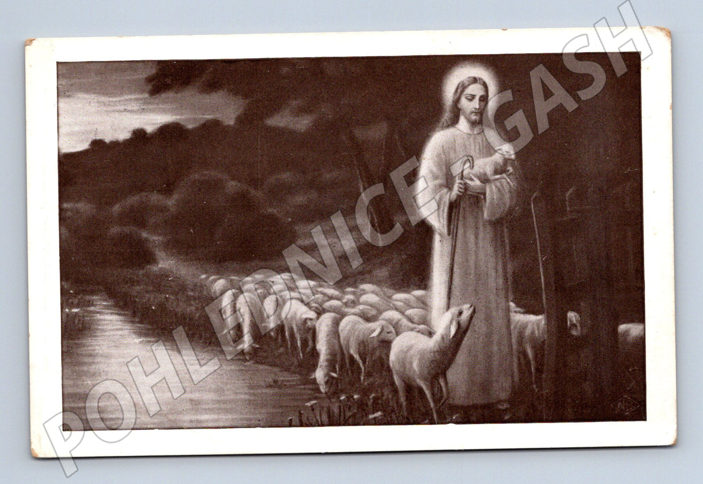 Pohlednice Ježíš Kristus a ovce FRÖHLICHE OSTERN 1950 (M19321)