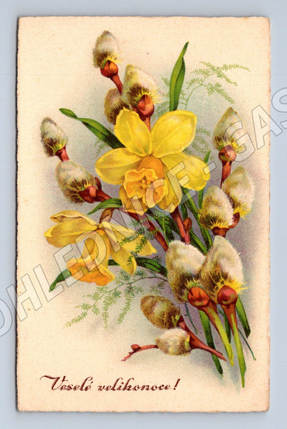 Pohlednice kočičky a narcisy ČSR (M19336)