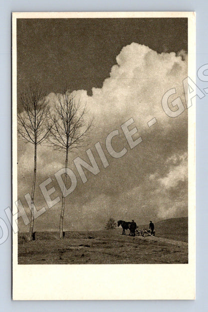 Pohlednice Jaro a mládí v československé fotografii malý form (M19338)