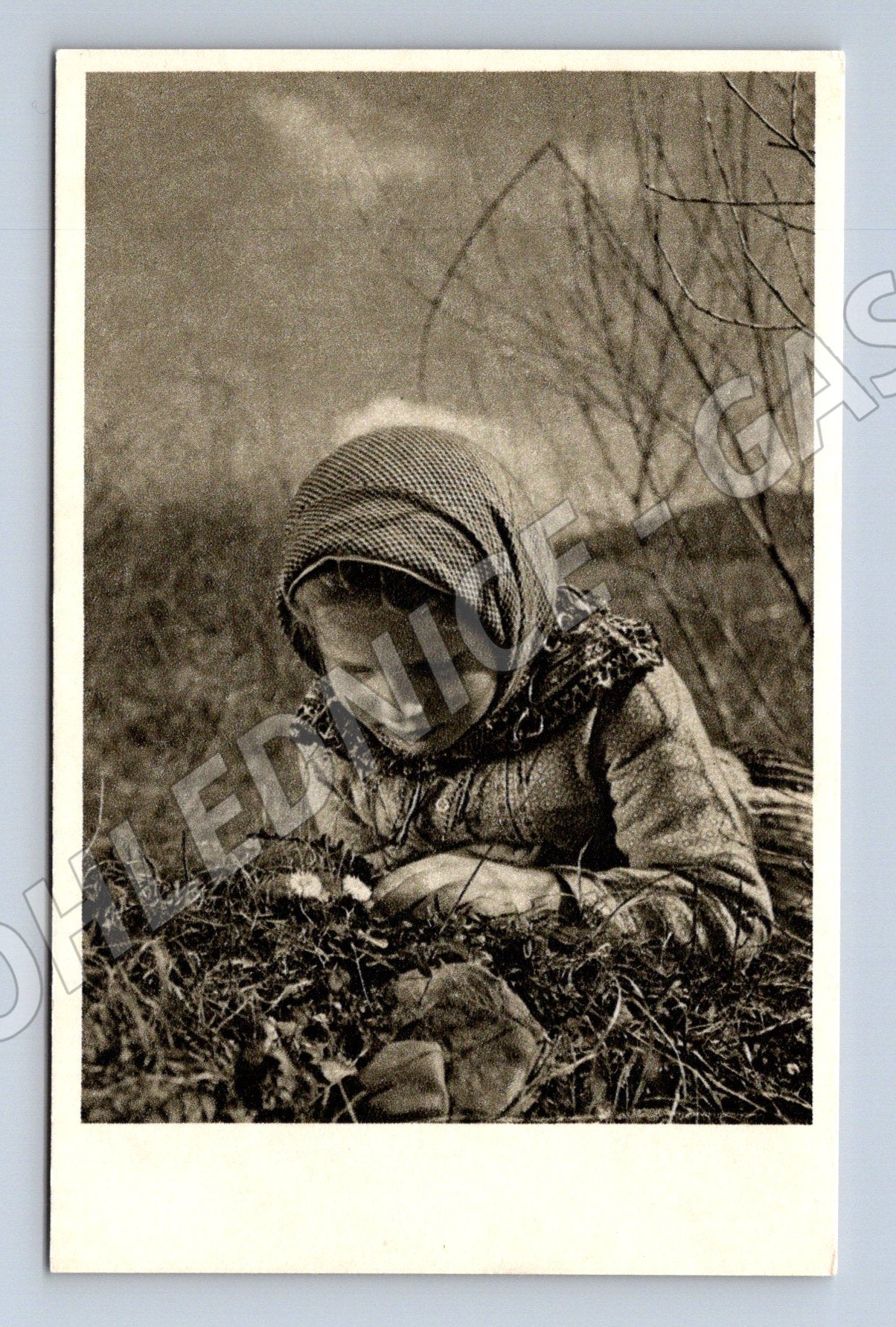 Pohlednice Velikonoční jaro mládí v československé fotografii (M19340)