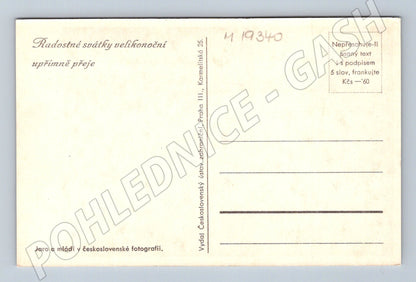 Pohlednice Velikonoční jaro mládí v československé fotografii (M19340)
