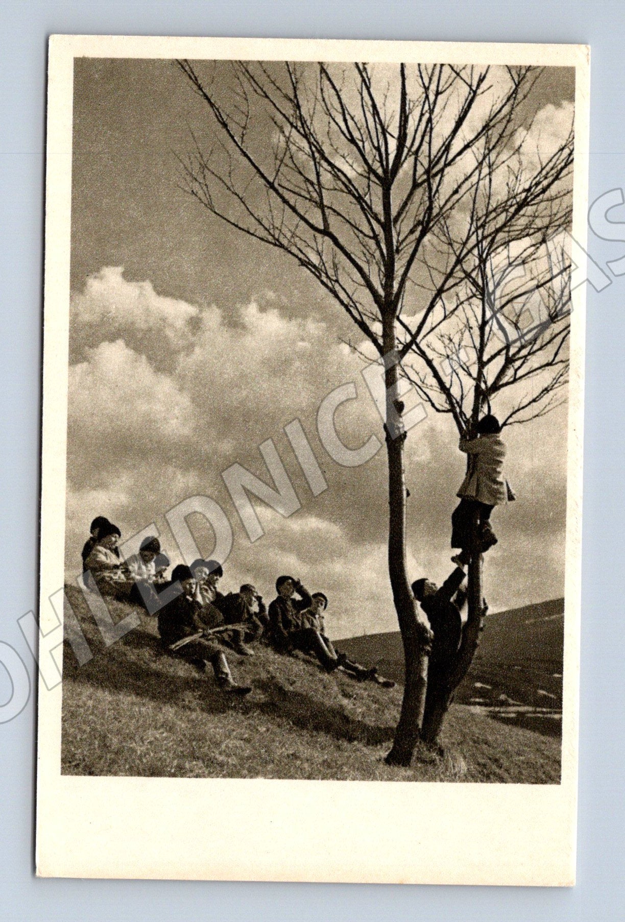 Pohlednice Jaro a mládí černobílá Československo malý formát (M19344)