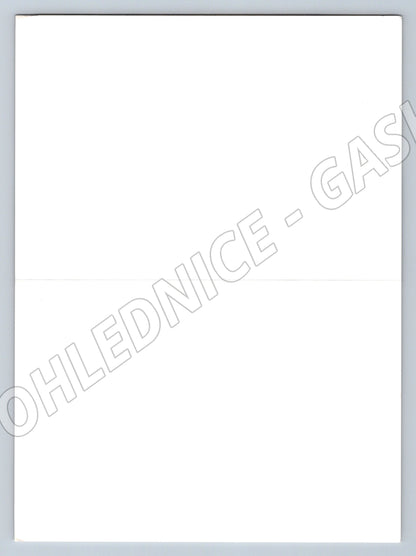 Pohlednice Sváteční přání Antonín Ashwell zimní motiv (M19367)