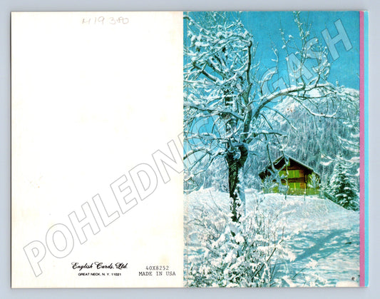 Pohlednice Vánoční Zasněžená chalupa Severní Amerika USA (M19380)