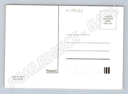 Pohlednice MDŽ Československo květiny gerbery neprošlá (M19421)