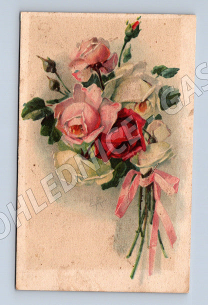 Pohlednice květiny růže se stuhou nepopsaná (M19422)