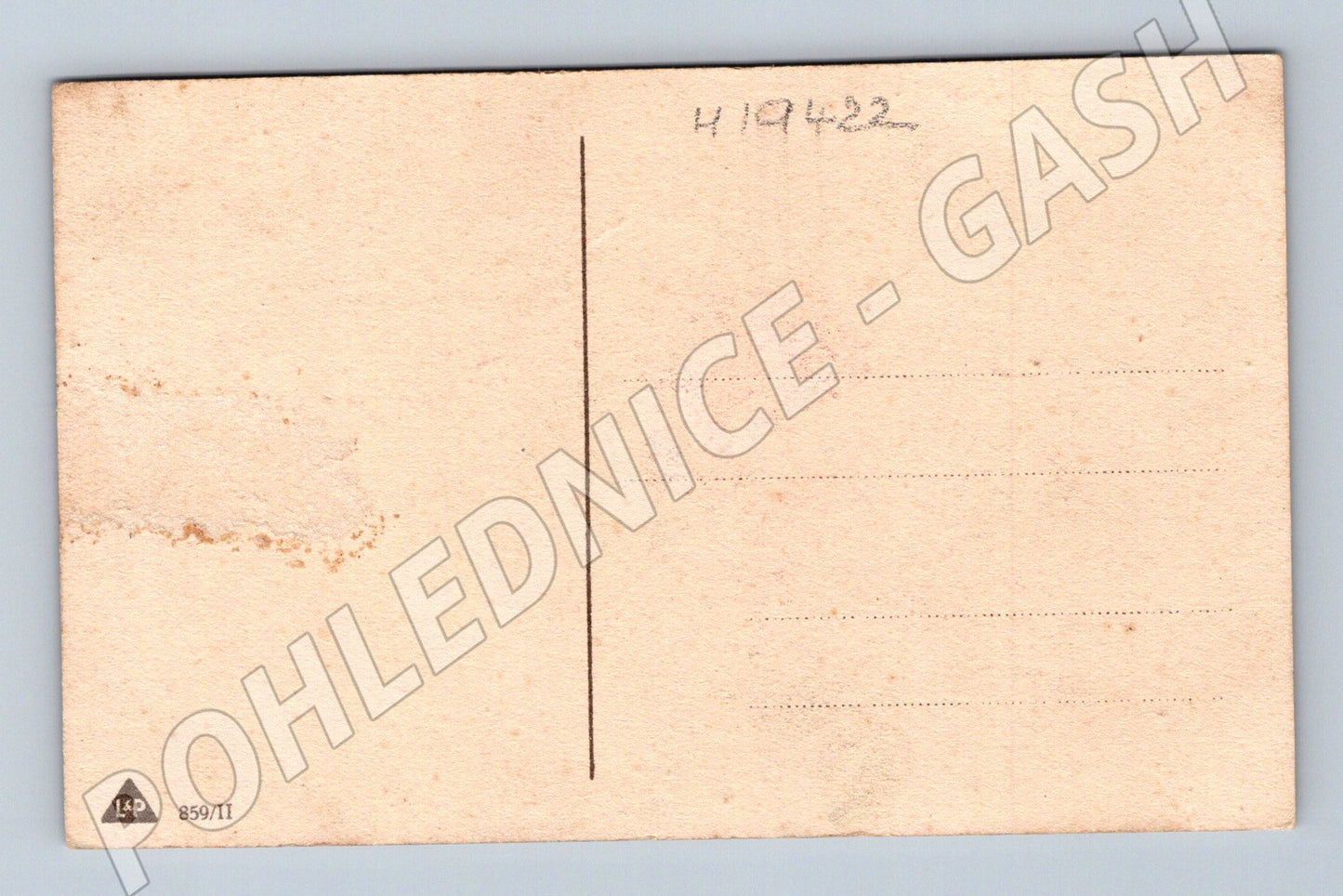 Pohlednice květiny růže se stuhou nepopsaná (M19422)