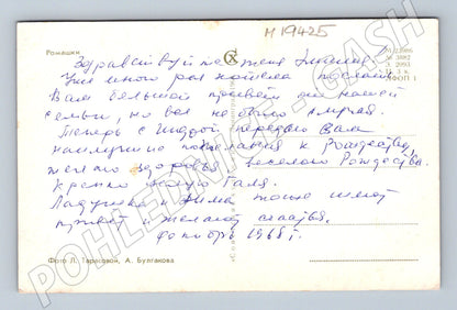 Pohlednice SSSR květiny kopretiny ručně psaná motiv Rusko (M19425)