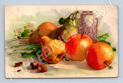 Pohlednice Starý pohled malířství zátiší s ovocem a džbánem (M19426)