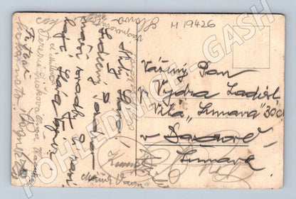 Pohlednice Starý pohled malířství zátiší s ovocem a džbánem (M19426)