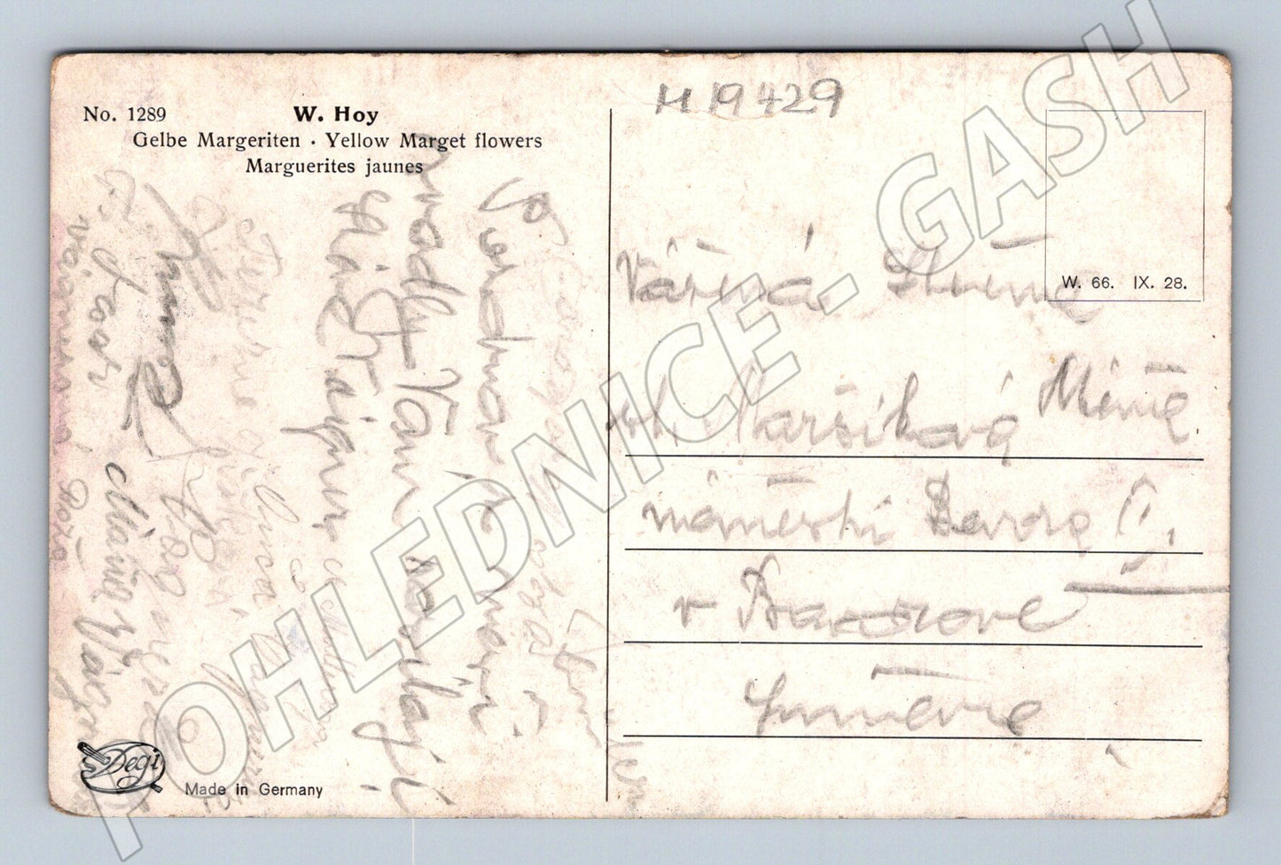 Pohlednice Německo Žluté kopretiny v košíku embosovaná (M19429)