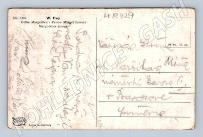 Pohlednice Německo Žluté kopretiny v košíku embosovaná (M19429)