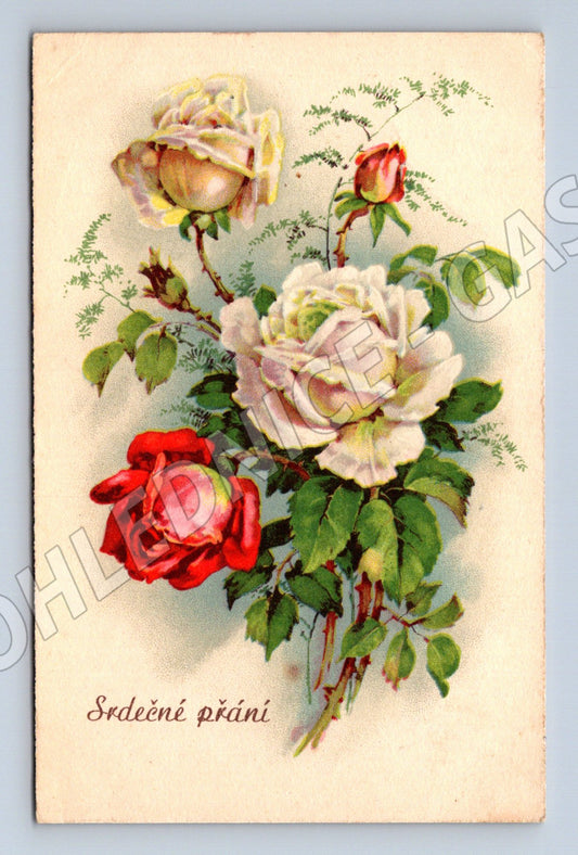 Pohlednice Srdečné přání růže malý formát (M19437)