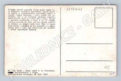 Pohlednice sýkora koňadra ilustrace F X Procházka (M19441)