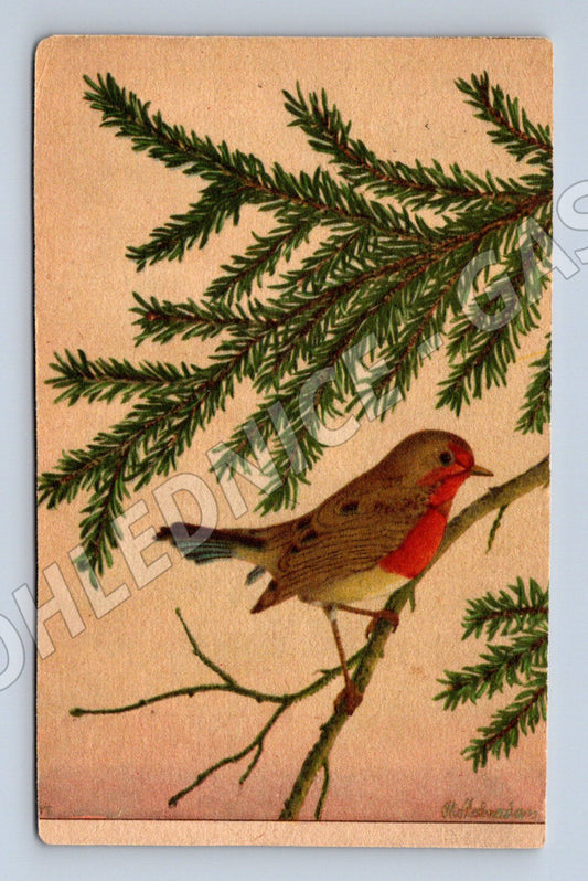 Pohlednice pták na větvi kolorovaná ČSR frankovaná na 1 (M19446)