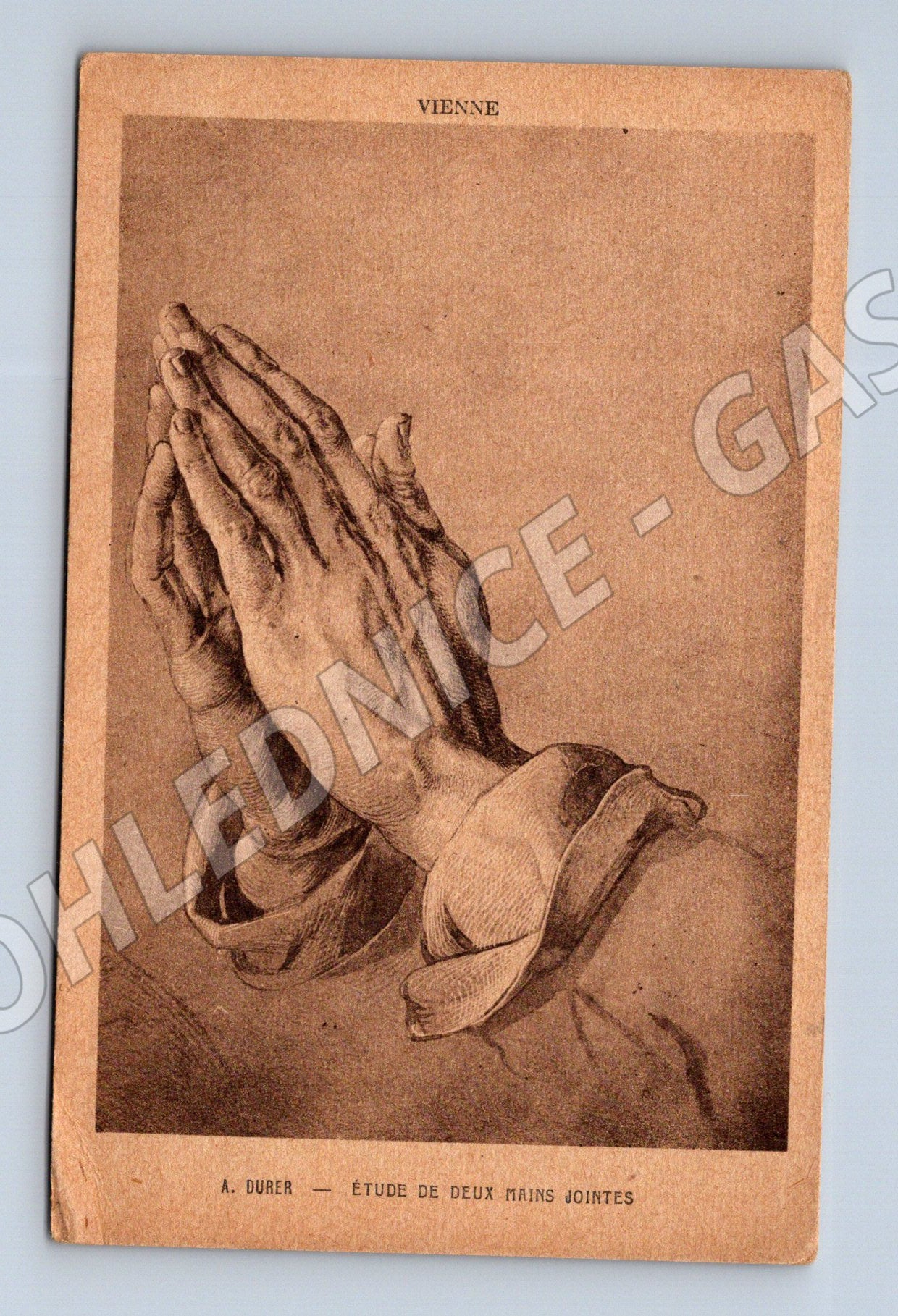 Pohlednice Albrecht Dürer Modlící se ruce Vídeň (M19456)
