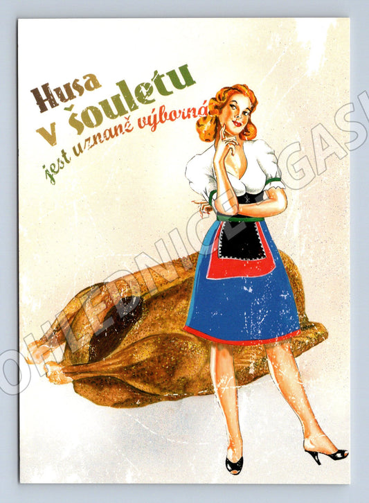 Pohlednice Husa v šouletu česká kuchyně (M19461)