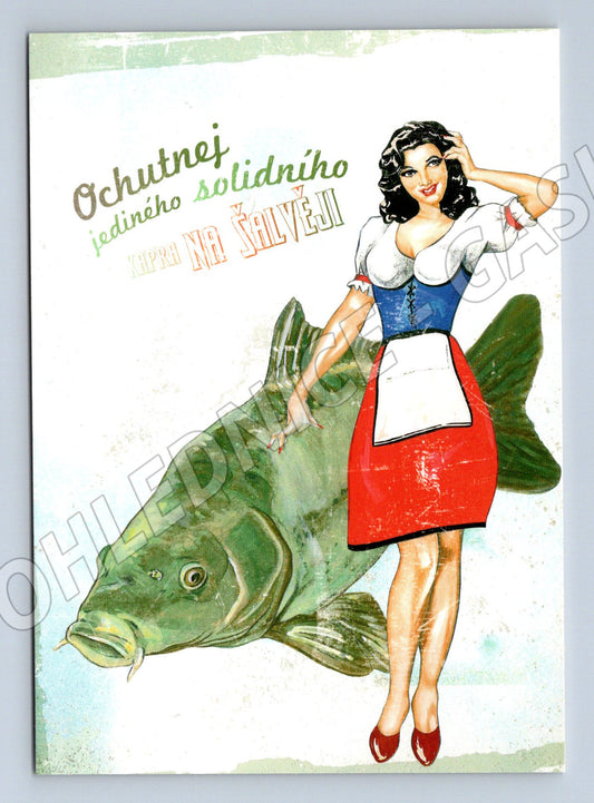 Pohlednice Kapr na šalvěji ilustrace (M19465)