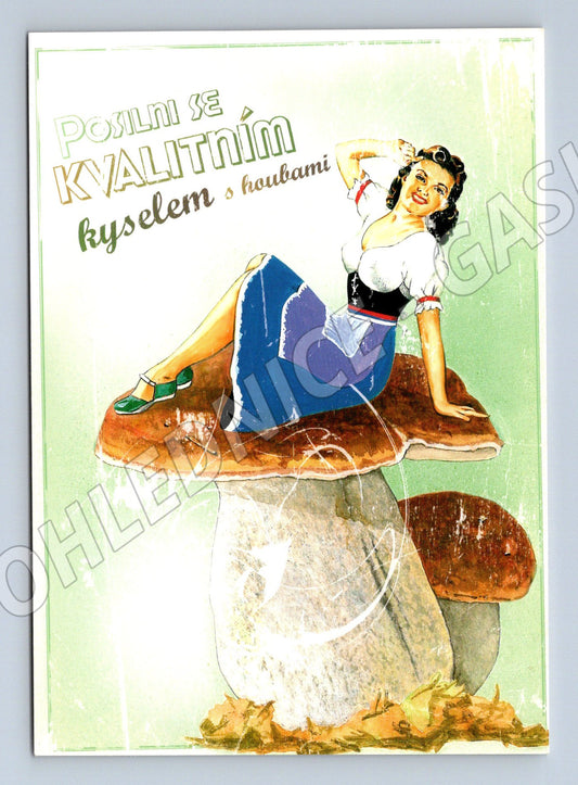 Pohlednice s receptem na české kyselo barevná ilustrace (M19468)