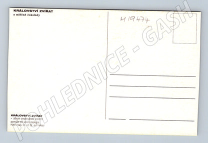 Pohlednice Království zvířat ZOO Praha ilustrace čokoláda Krá (M19474)