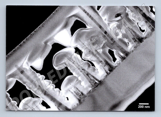 Pohlednice ZnO tyčinky transmisní elektronová mikroskopie Mat (M19484)