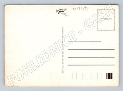 Pohlednice Ray-Ban Až za hrob sběratelská NEPRODEJNÉ (M19487)