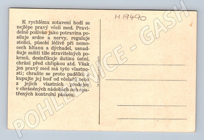 Pohlednice Propagační med jako univerzální potravina a lék ČS (M19490)