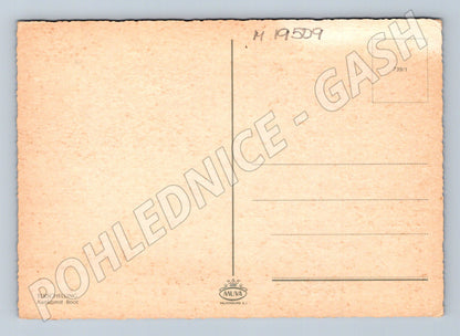 Pohlednice parník Friesland připlutí lodě Terschelling vodní  (M19509)