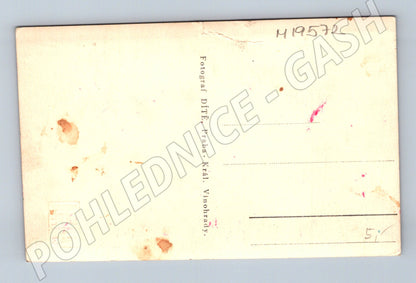 Pohlednice dívka s houslemi fotograf dítě (M19572)