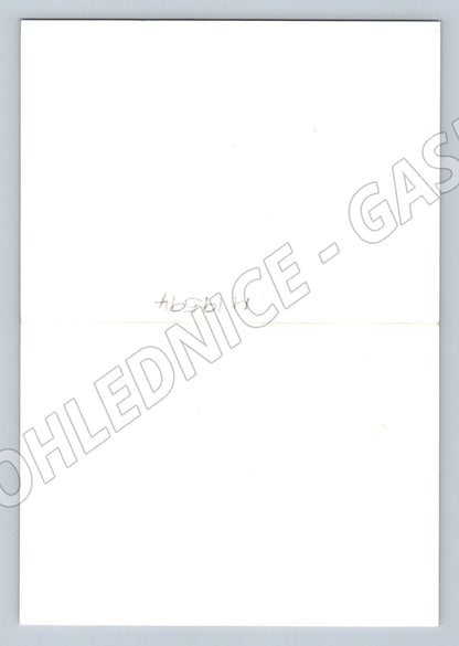 Pohlednice Vídeň Wiener Revue Fernand Leemans autogram (M19594)