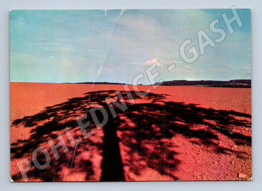 Pohlednice české krajiny stín stromu na poli Orbis Praha (M19632)