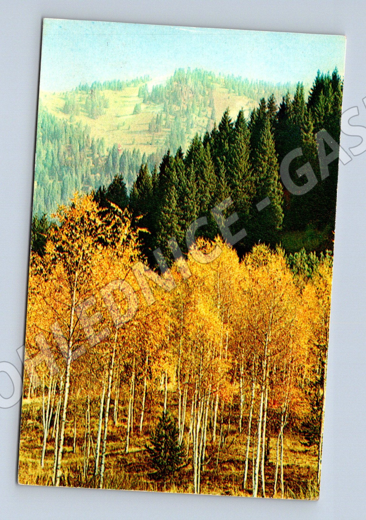 Pohlednice SSSR podzimní krajina Planeta Moskva (M19633)