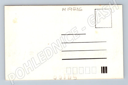 Pohlednice Žatec Klub sběratelů kuriozit kresba (M19636)